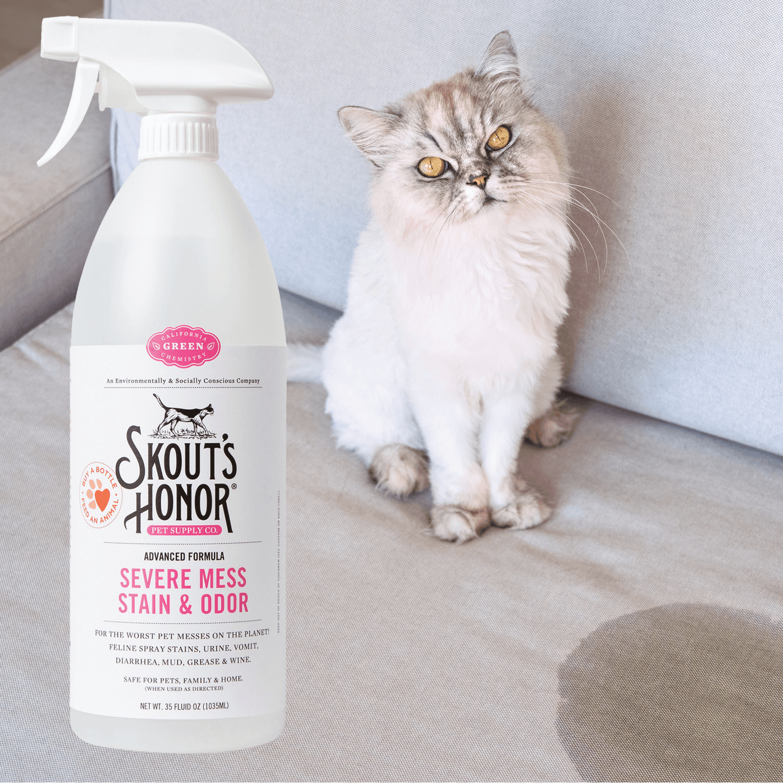 Skouts Honor Stain & Odor Severe Mess Advanced Formula Cat