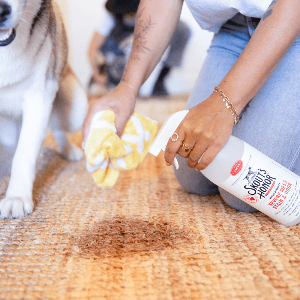 Skouts Honor Stain & Odor Severe Mess Advanced Formula Dog