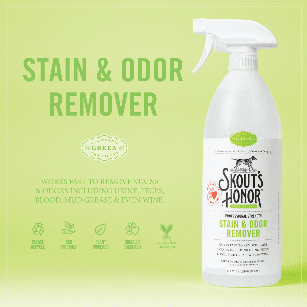 Skouts Honor Stain & Odor Remover Dogs