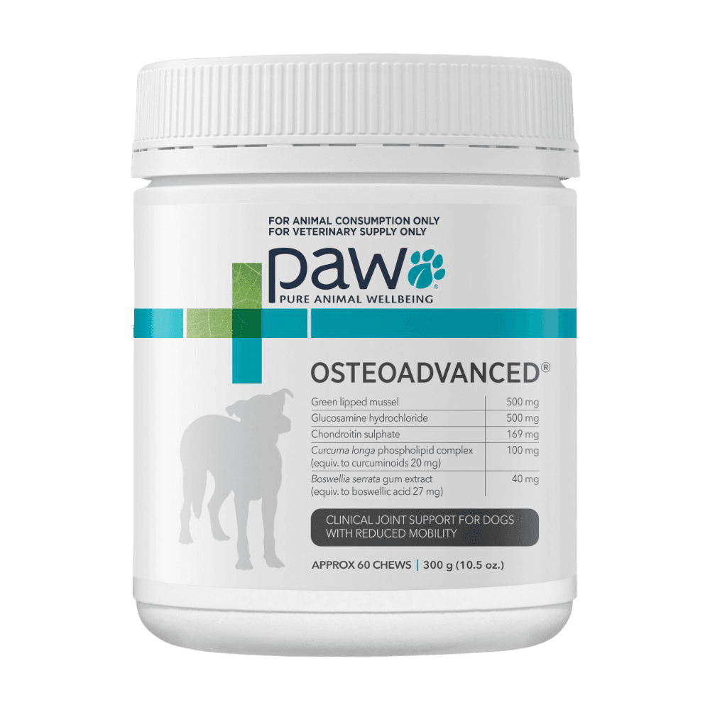 paw-blackmores-osteo-advanced