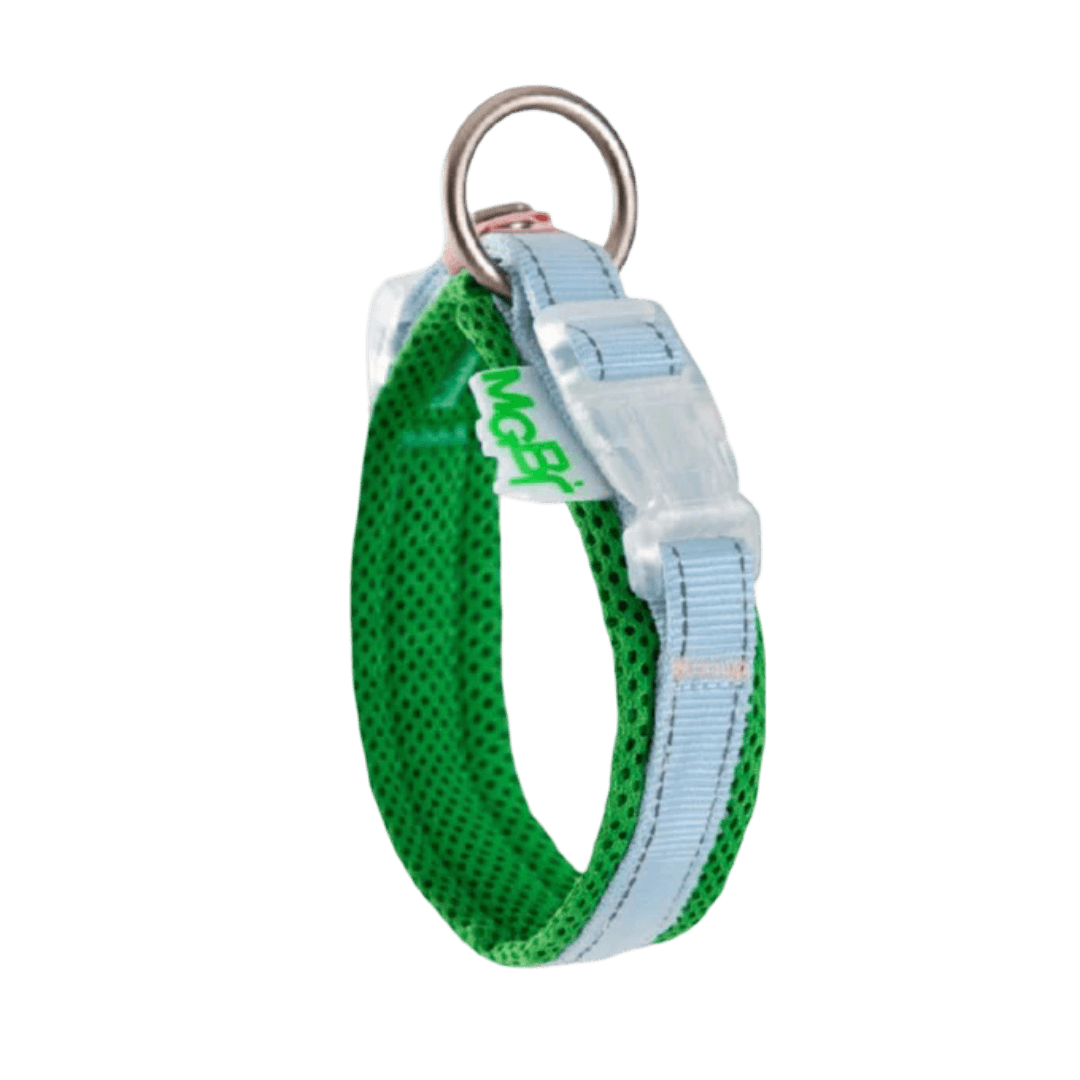 maogou-blue-miracle-dog-collar-shamrock-green