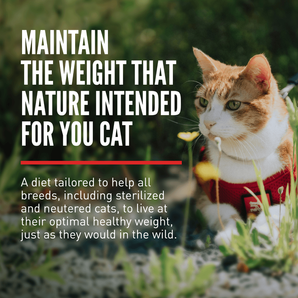 Orijen Fit & Trim Adult Dry Cat Food