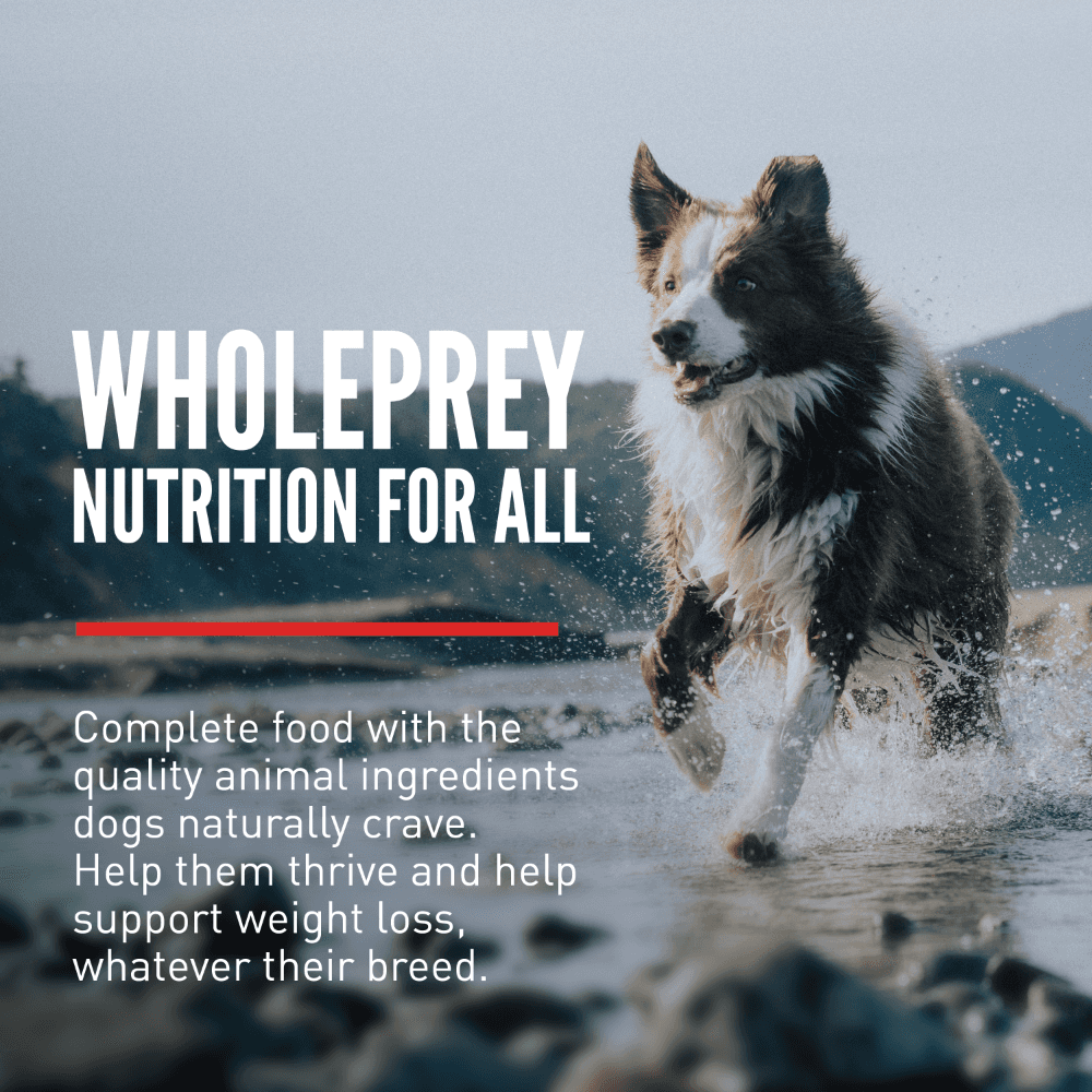 Orijen Fit & Trim Adult Dry Dog Food