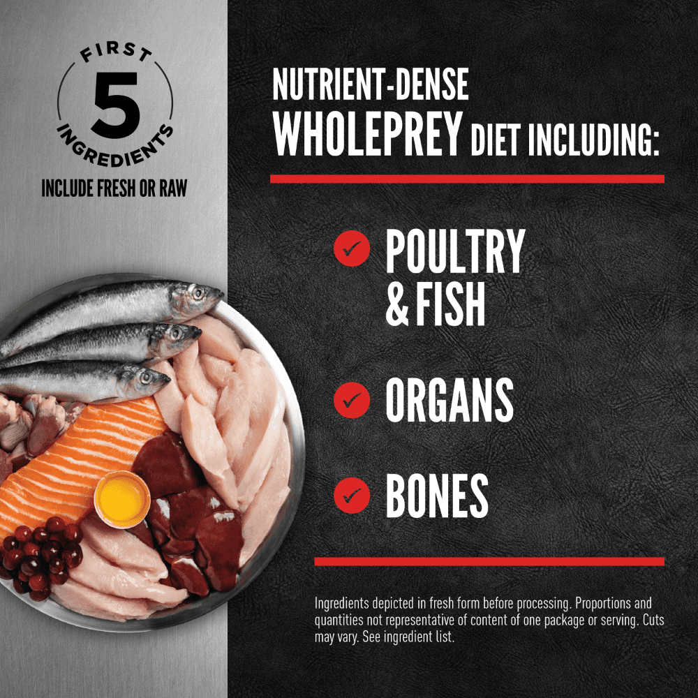 Orijen Kitten Dry Cat Food