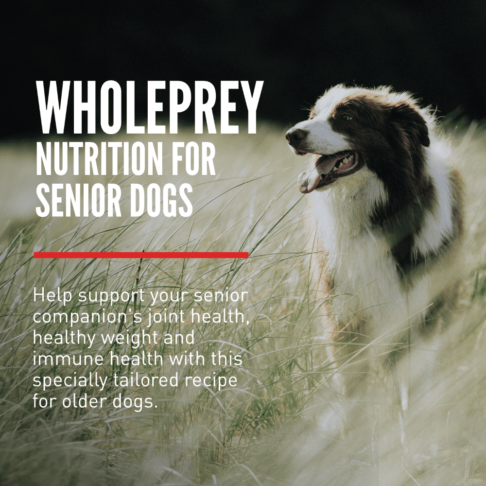 Orijen Chicken Turkey & Fish Senior Dry Dog Food