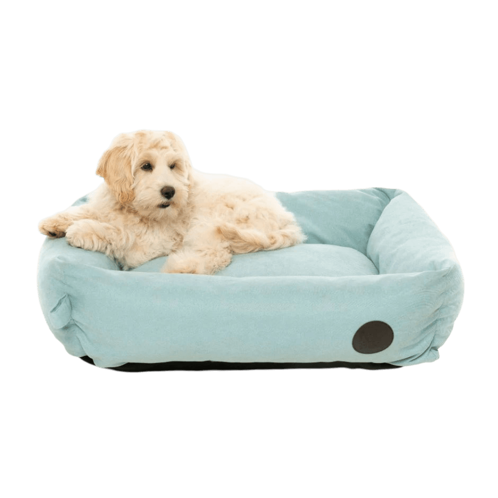 fuzzyard-lounge-dog-bed-powder-blue