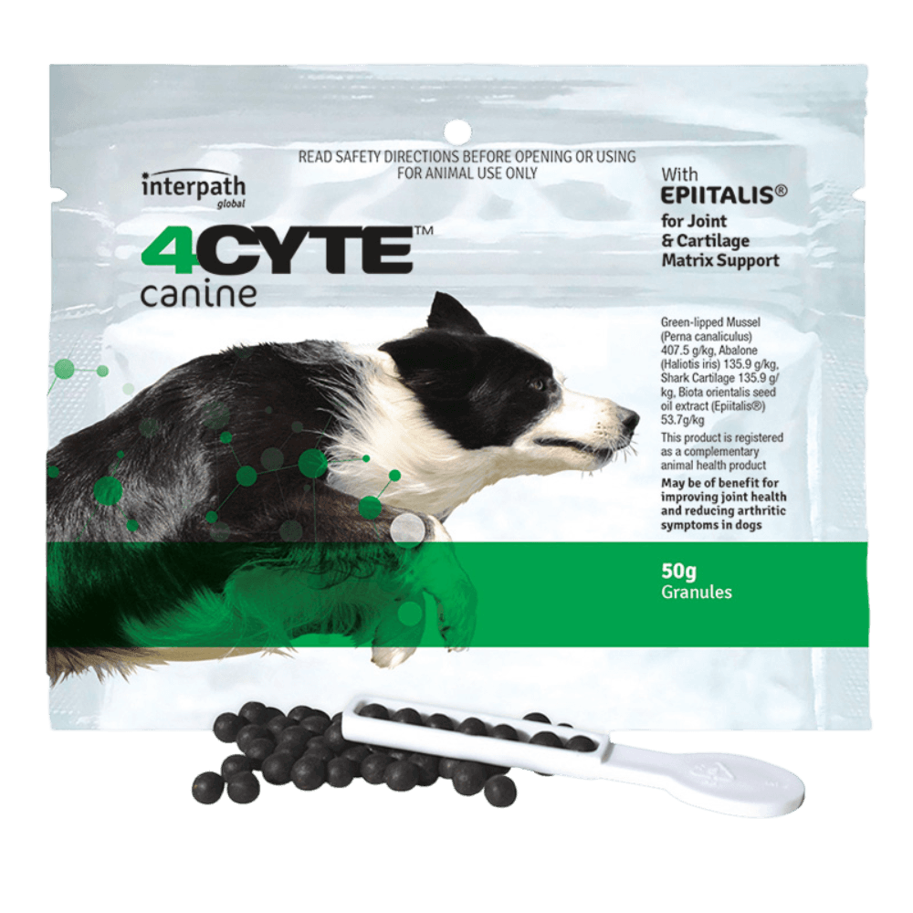 4cyte-canine-joint-support-supplement