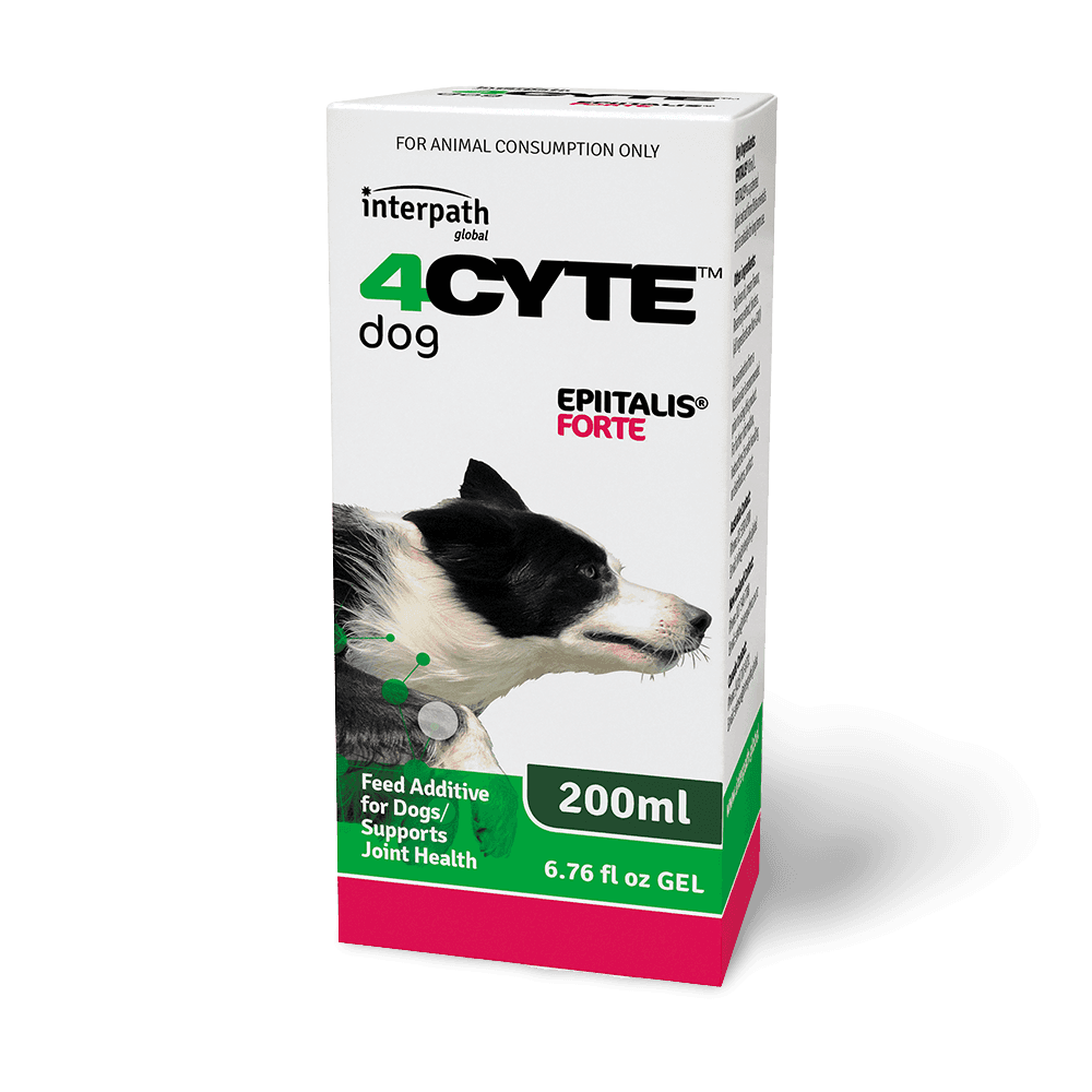 4cyte-epiitalis-forte-gel-for-dogs-supports-joint-health