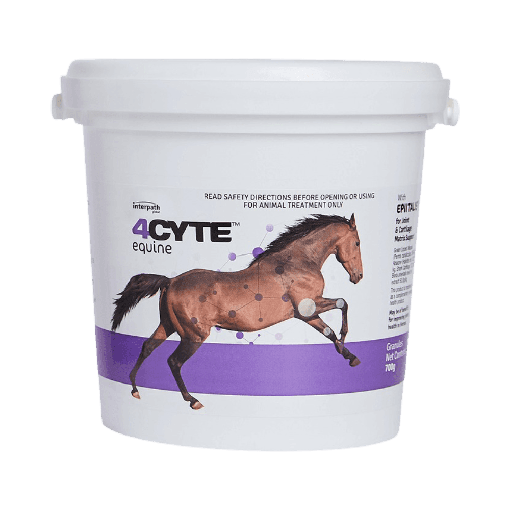 4cyte-equine-granules-supports-joint-health