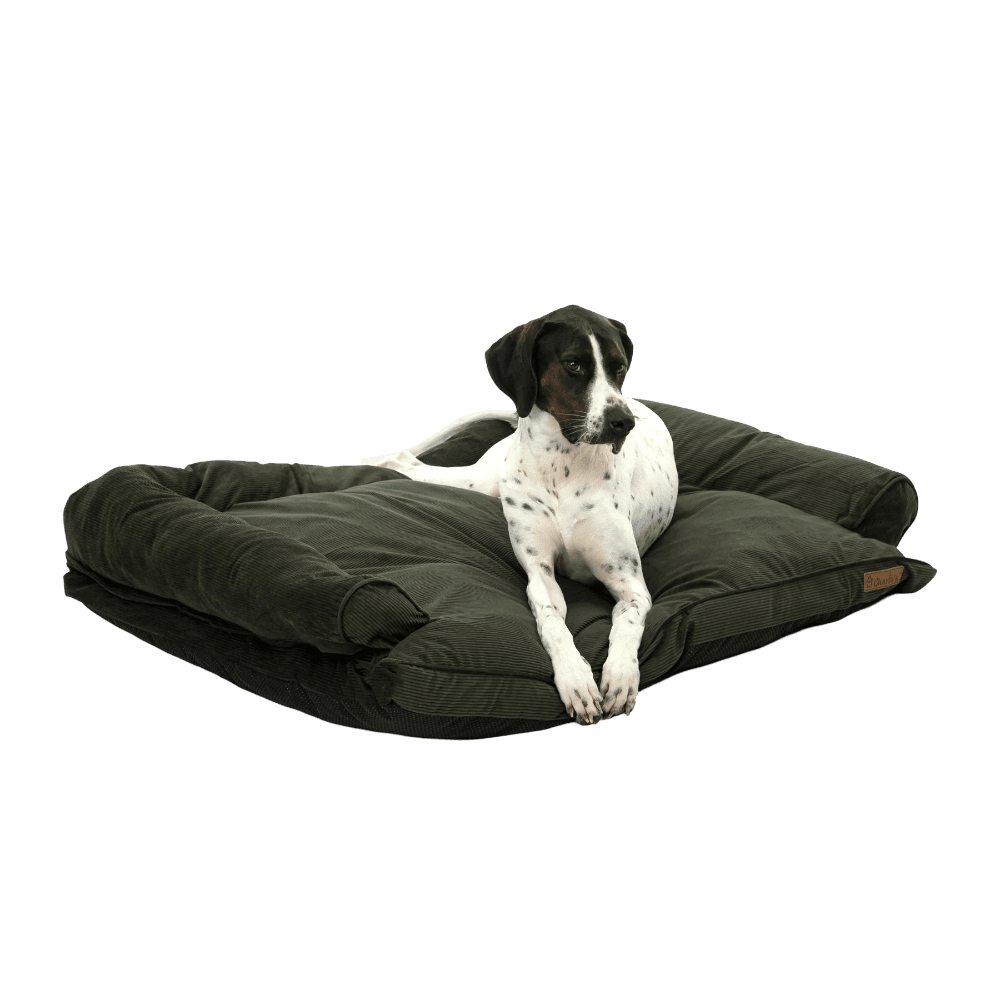 charlies-pet-corduroy-sofa-bed-green