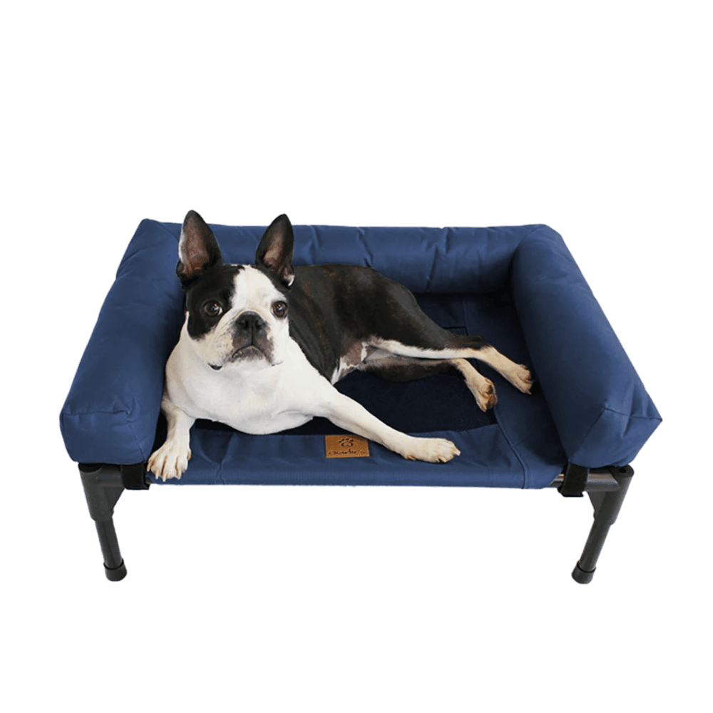 charlies-elevated-trampoline-bolster-dog-sofa-bed-blue