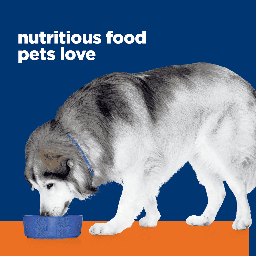 Hills Prescription Diet C/D Multicare Urinary & Metabolic Adult Dry Dog Food