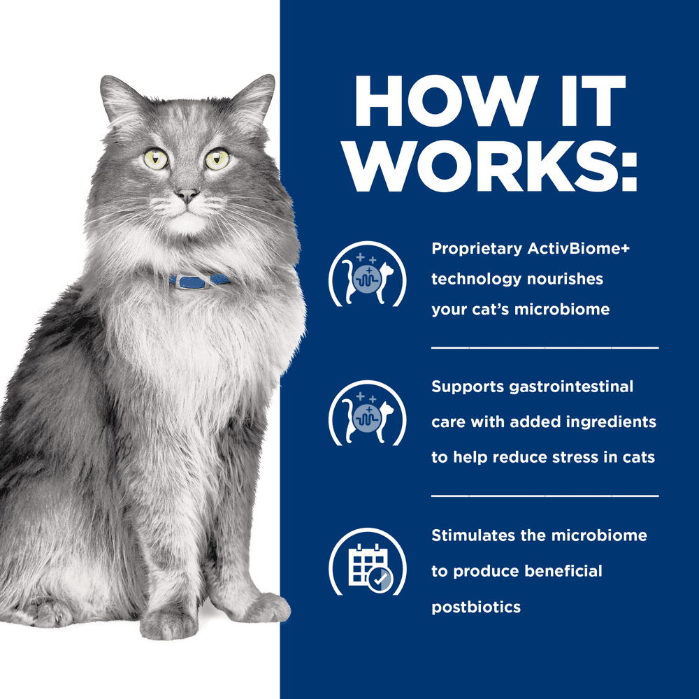 Hills Prescription Diet Gastrointestinal Biome Stress Digestive Fibre Care Dry Cat Food