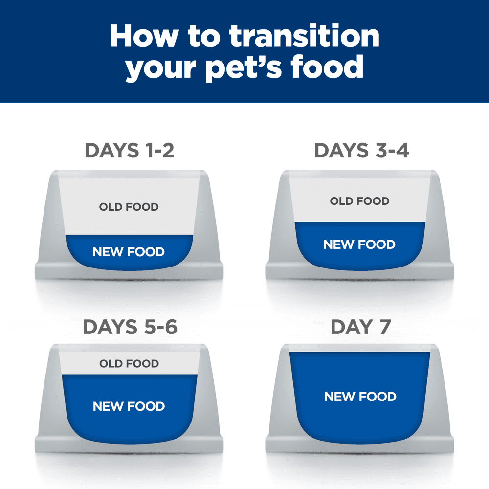 Hills Prescription Diet Gastrointestinal Biome Stress Digestive Fibre Care Dry Cat Food
