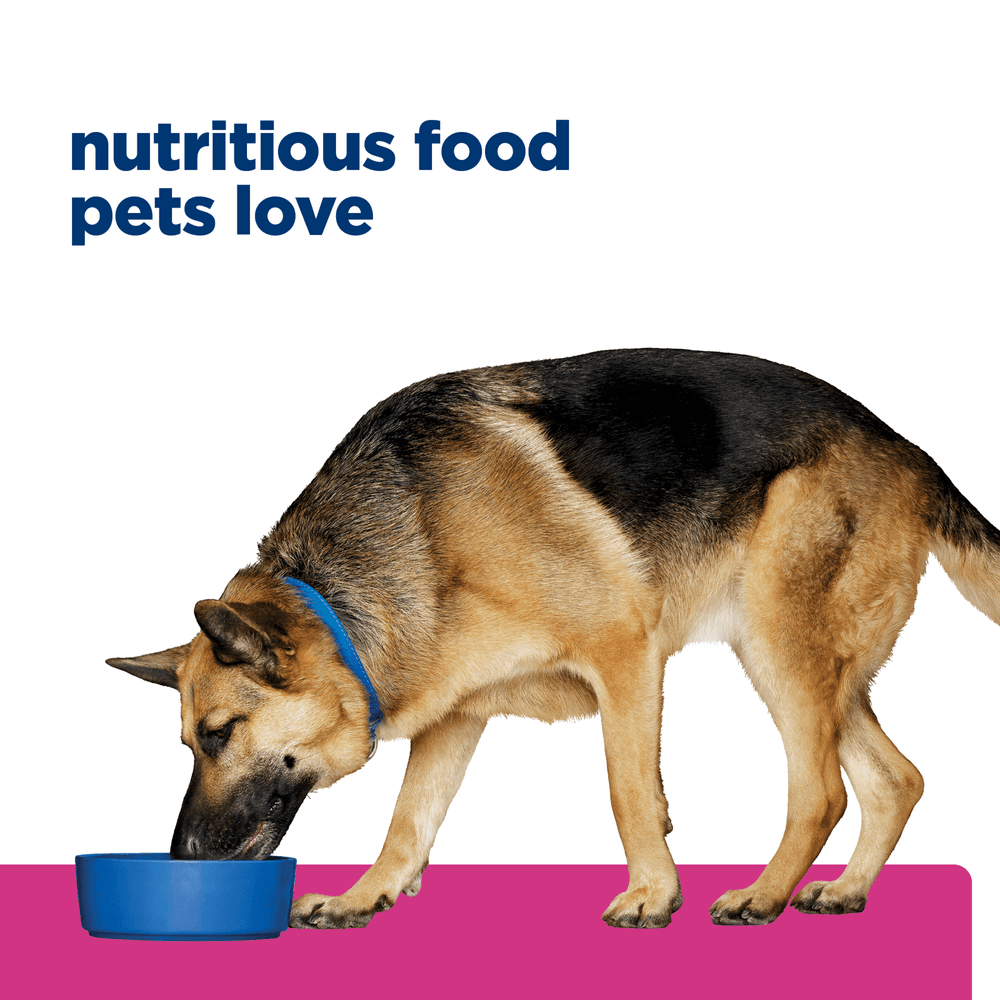 Hills Prescription Diet Gastrointestinal Biome Digestive Fibre Care Chicken Adult Dry Dog Food