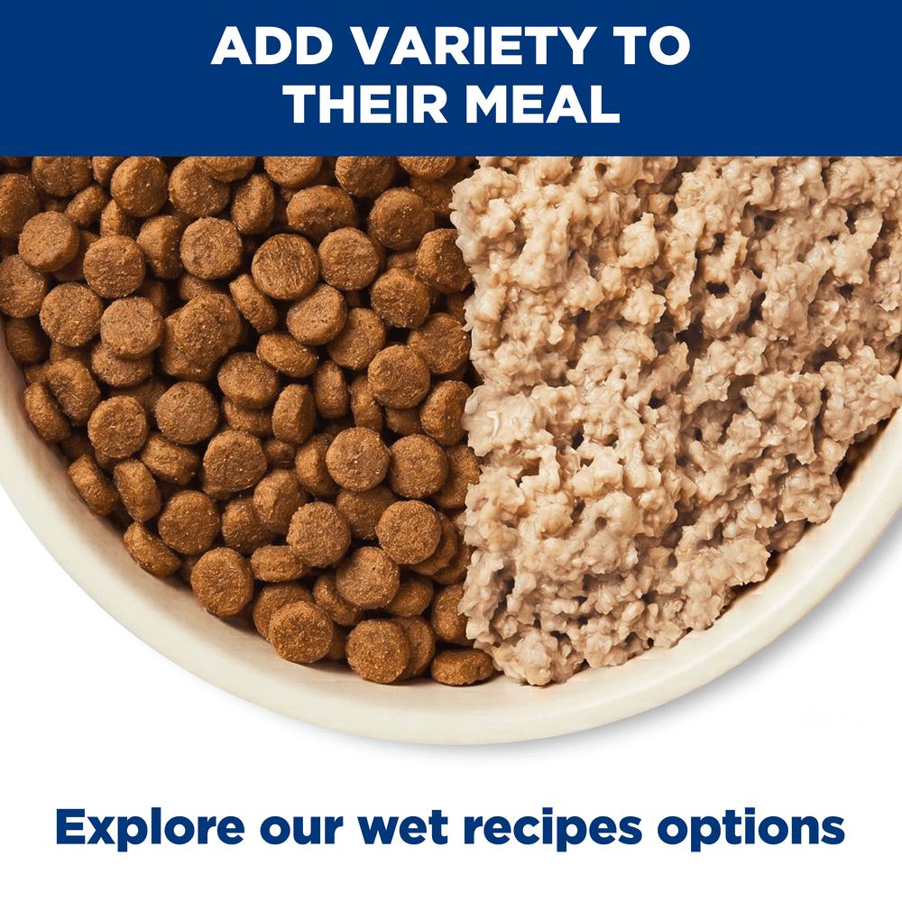 Hills Prescription Diet Derm Complete Adult Dry Dog Food