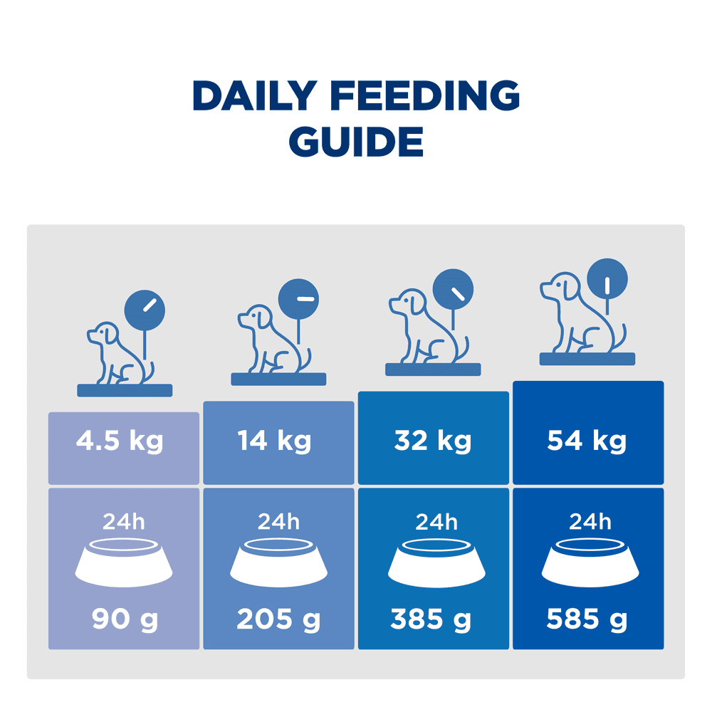 Hills Prescription Diet Derm Complete Adult Dry Dog Food