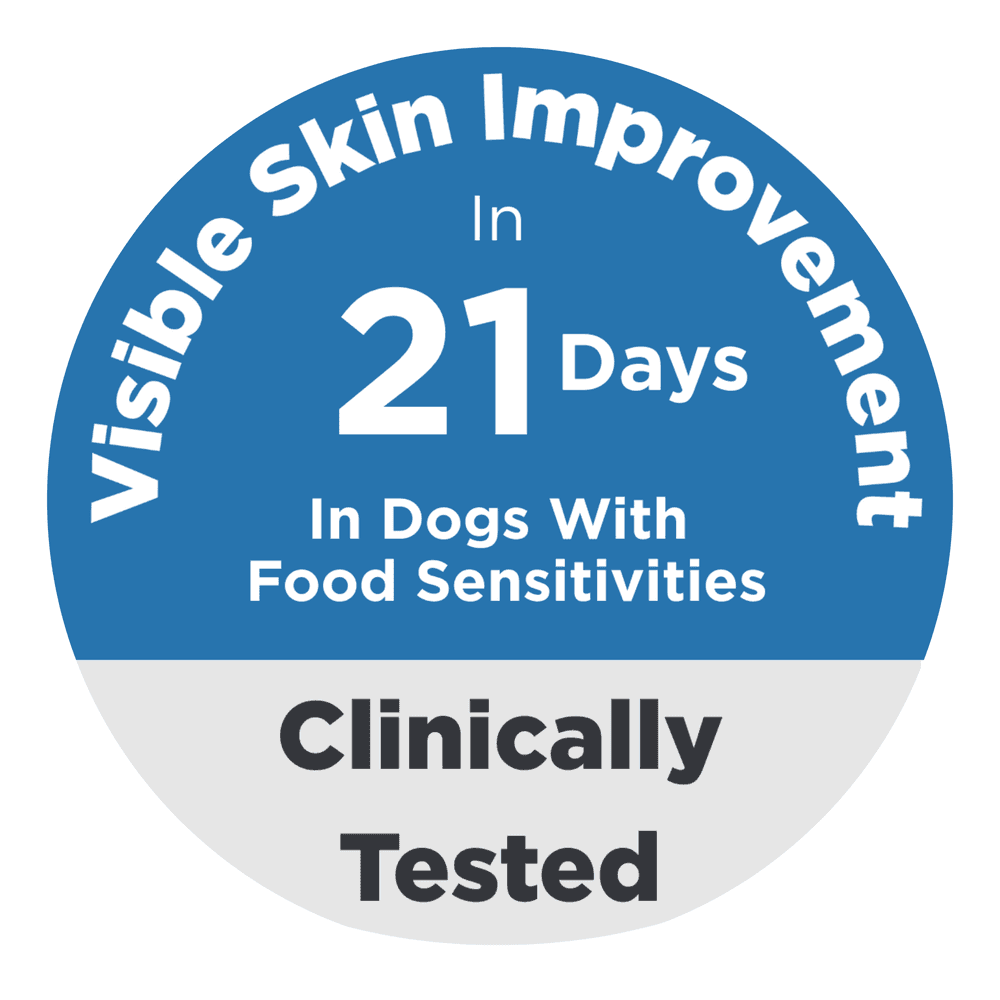 Hills Prescription Diet Derm Complete Adult Dry Dog Food
