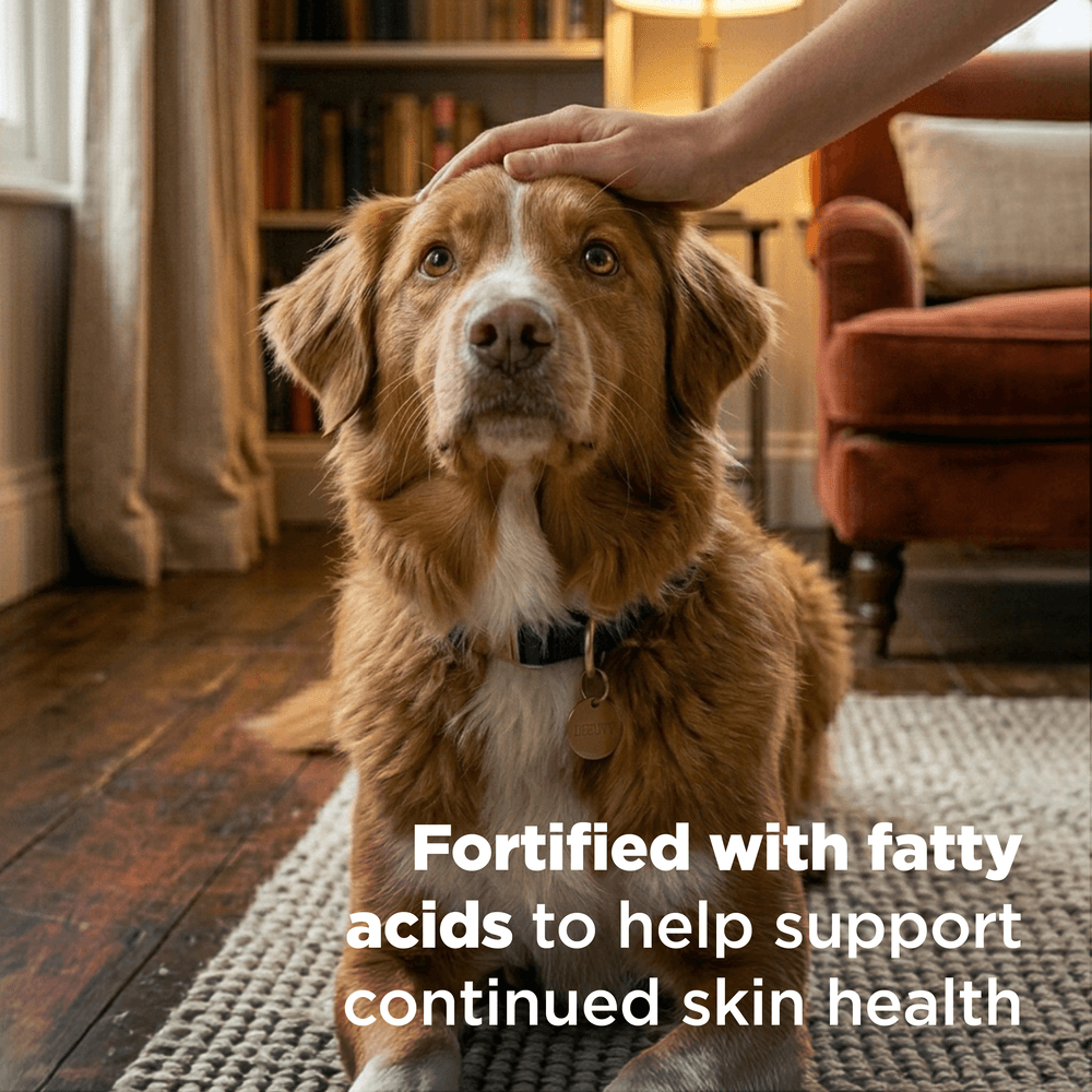 Hills Prescription Diet Derm Complete Adult Dry Dog Food