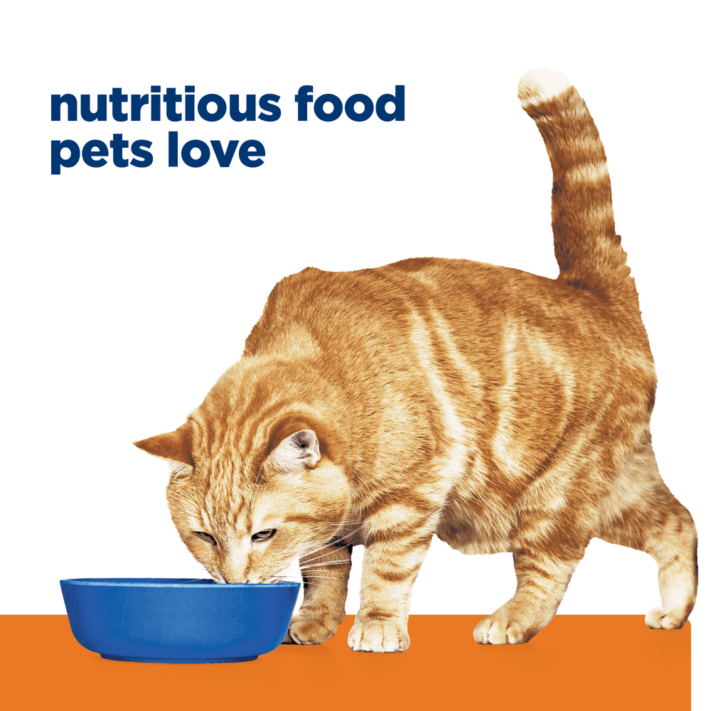 Hills Prescription Diet C/D Multicare Urinary Care Chicken & Vegetable Stew Wet Cat Food Cans