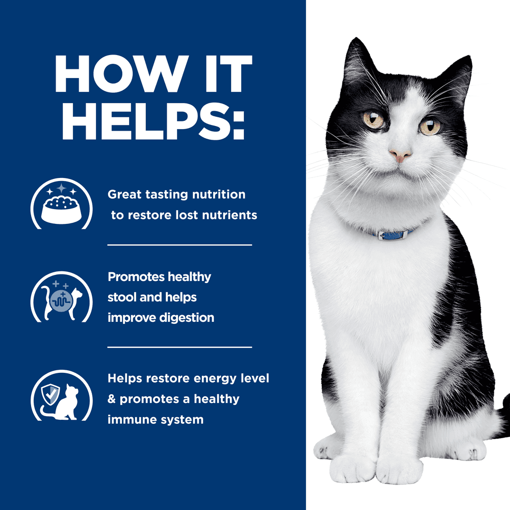 Hills Prescription Diet I/D Digestive Care Chicken And Vegetable Stew Canned Cat Food