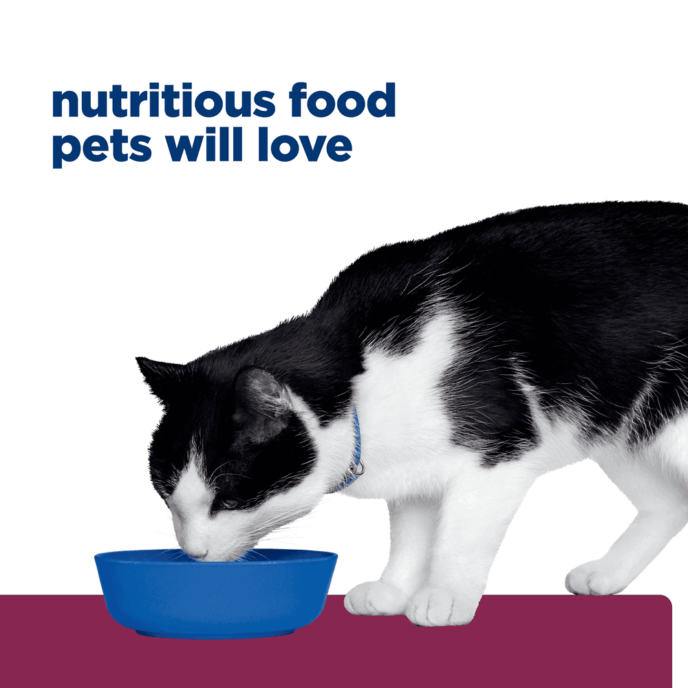 Hills Prescription Diet I/D Digestive Care Chicken And Vegetable Stew Canned Cat Food