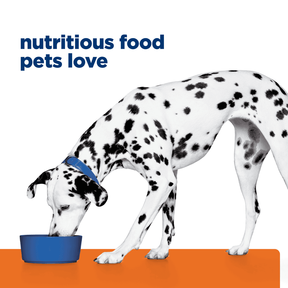Hills Prescription Diet U/D Urinary Care Chicken Flavour Adult Dry Dog Food
