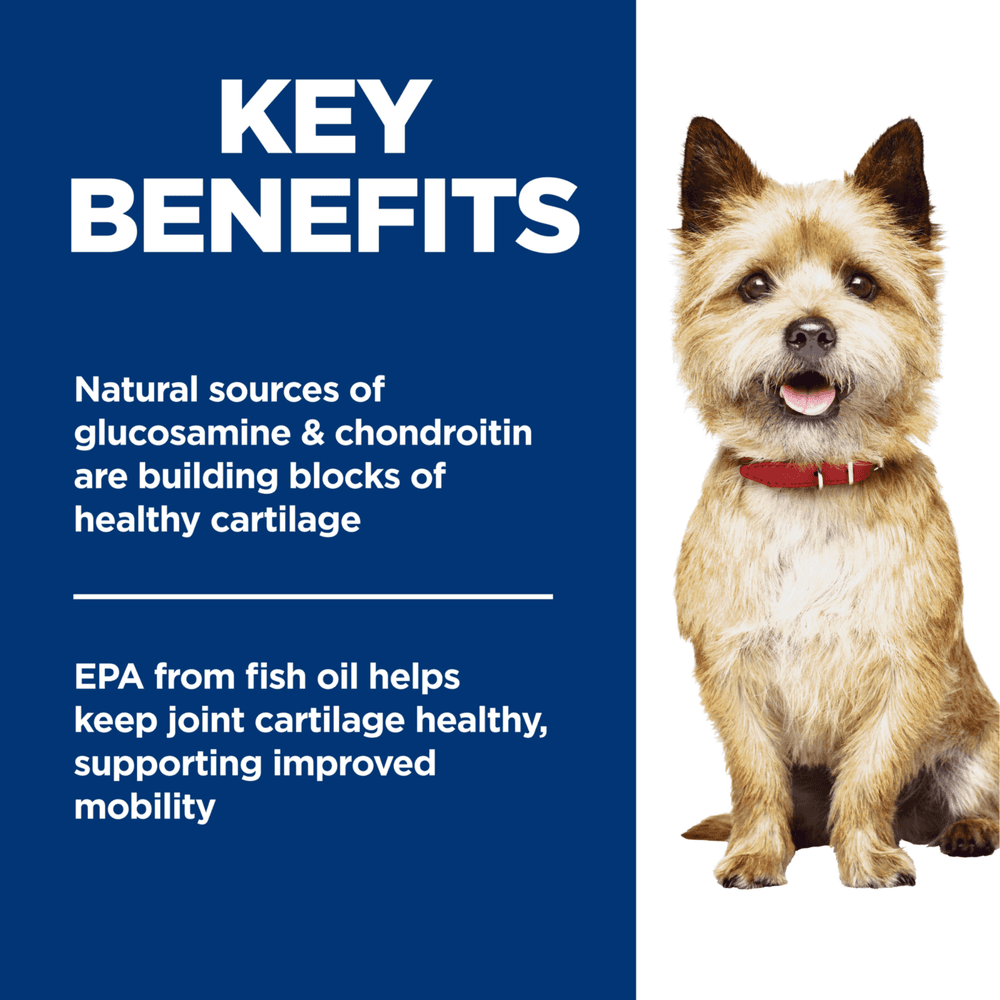 Hills Science Diet Healthy Mobility Small Bites Adult Dry Dog Food