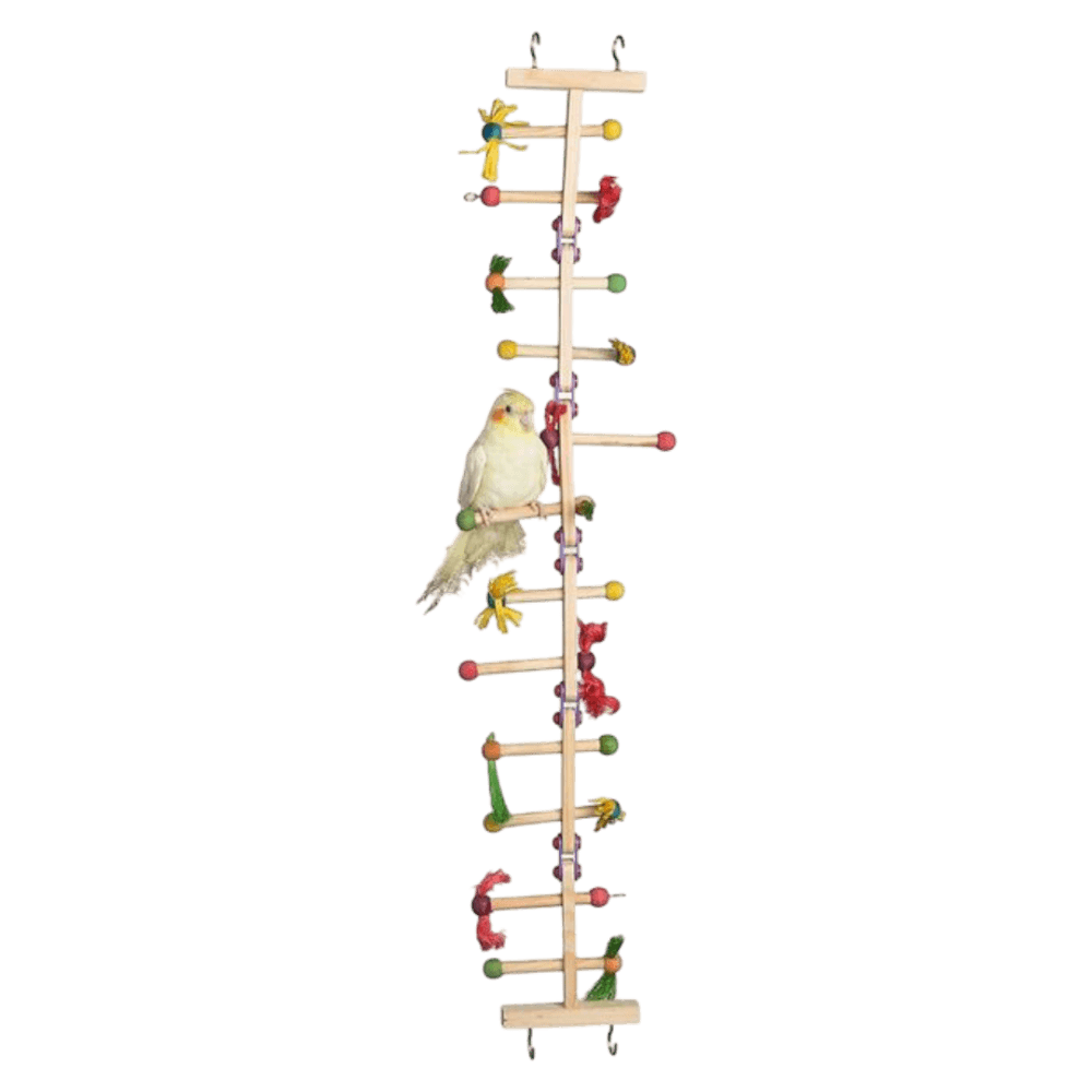 nature-island-forage-and-play-ladder-bird-toy