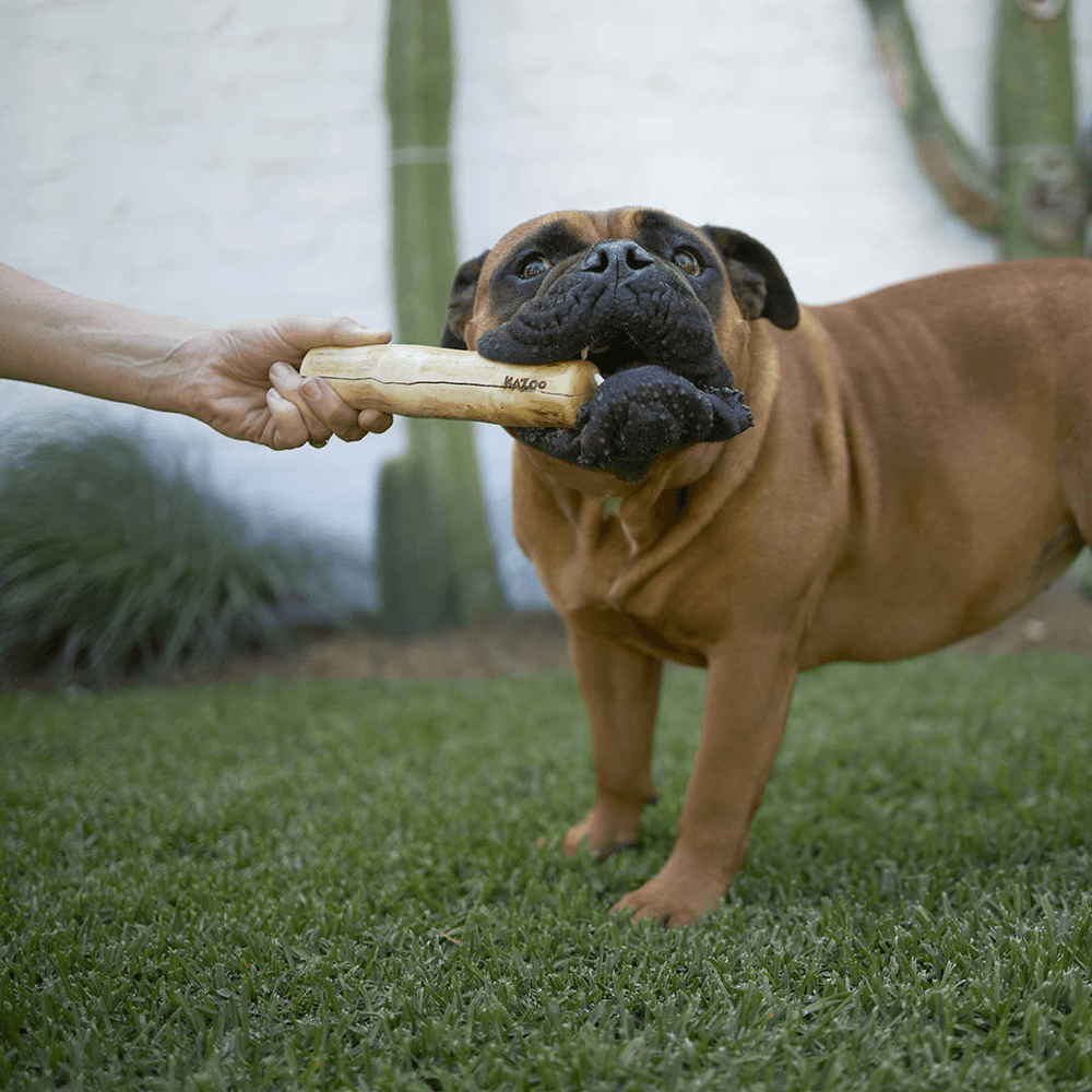 Kazoo Kazoo Coffee Wood Stick Dental Dog Chew Toy