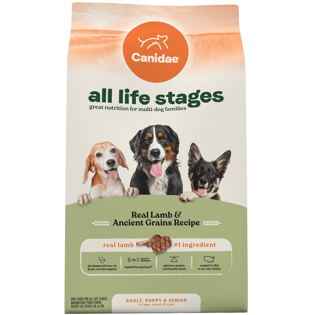 canidae-all-life-stages-lamb-and-ancient-grains-recipe-dry-dog-food