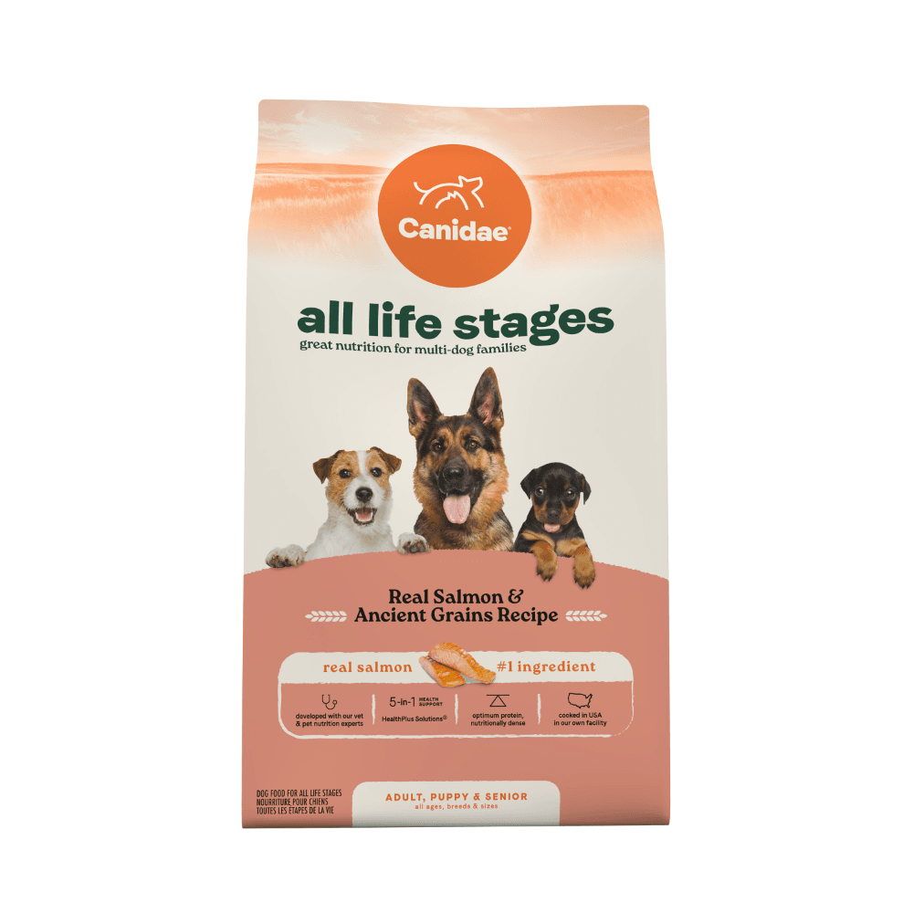 canidae-all-life-stages-salmon-and-ancient-grains-recipe-dry-dog-food