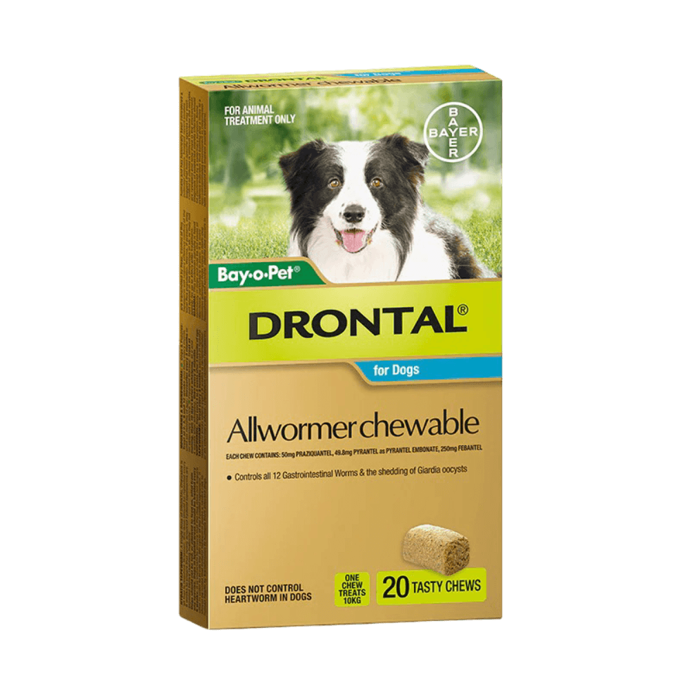 drontal-dog-allwormer-chewable-10kg