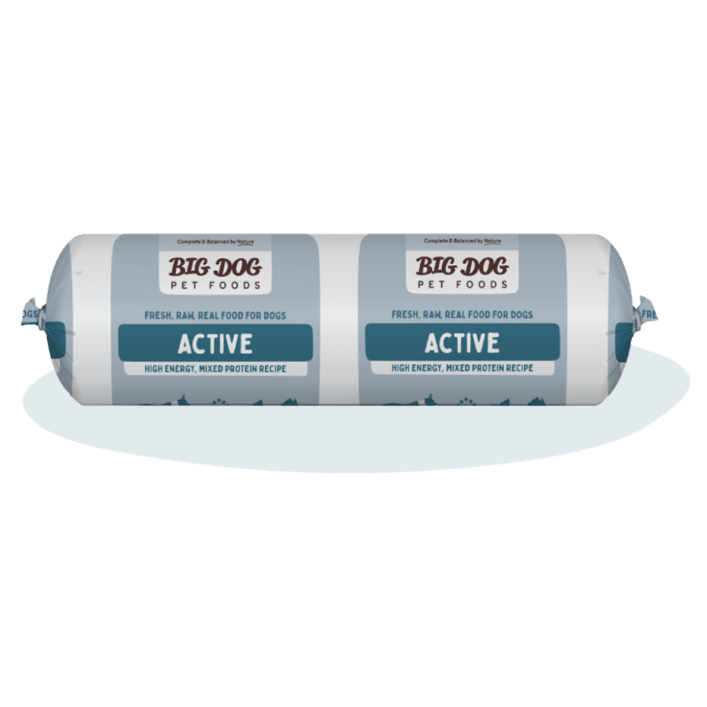big-dog-active-frozen-roll-raw-dog-food