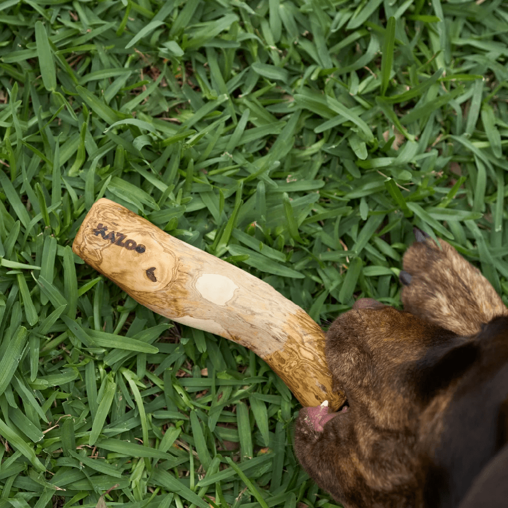 Kazoo Kazoo Coffee Wood Stick Dental Dog Chew Toy