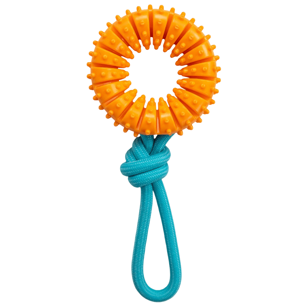 Dental Chew Wheel Dog Toy