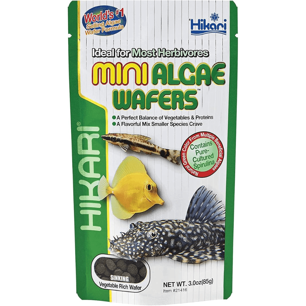 hikari-mini-algae-wafers-for-herbivorous-fish