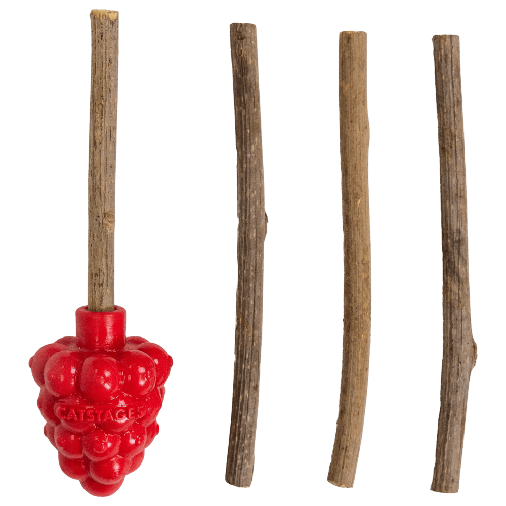 Raspberry Silvervine Teether Catnip Infused Dental Cat Toy