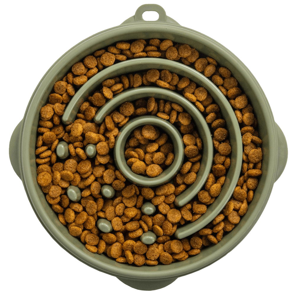 Fun Feeder Circle Sage Slow Feeder Dog Bowl