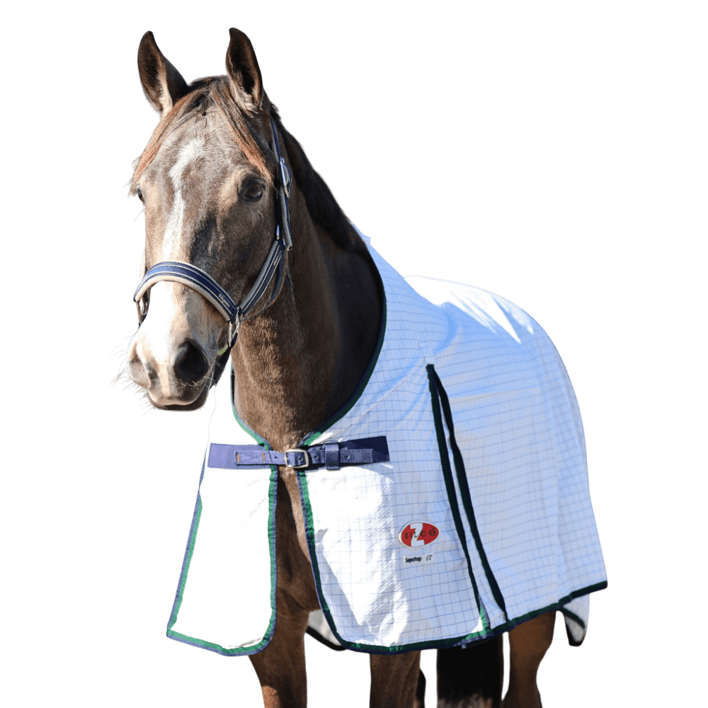 Supastop White Horse Rug With Green Navy Trim