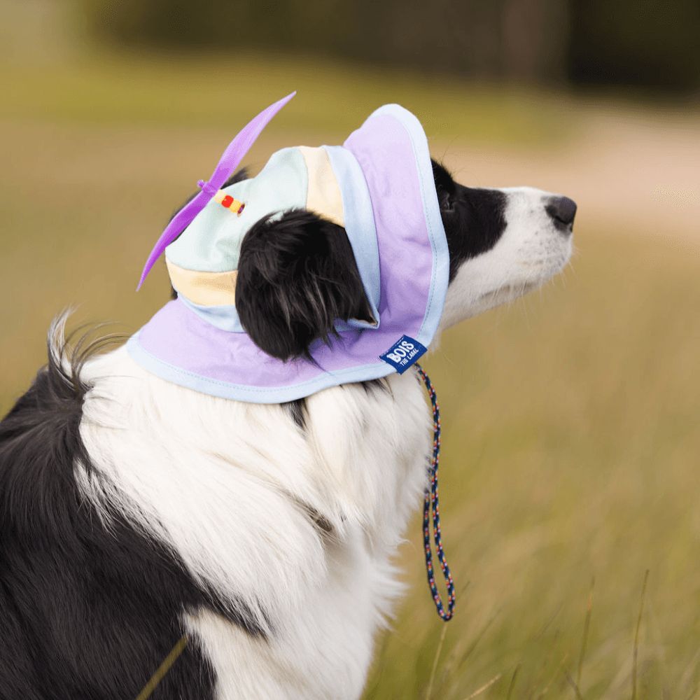 Bois The Label Pastel Colorblock Dog Spinning Bucket Hat