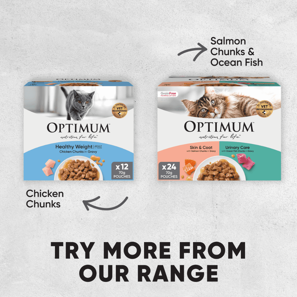 Optimum Healthy Weight Chicken in Jelly Adult Wet Cat Food Pouch