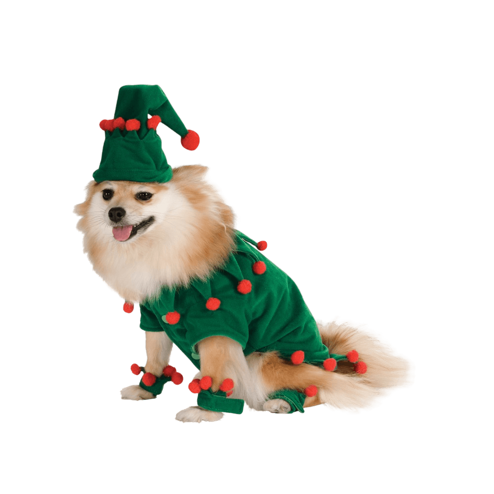 Deerfield Elf Pet Costume