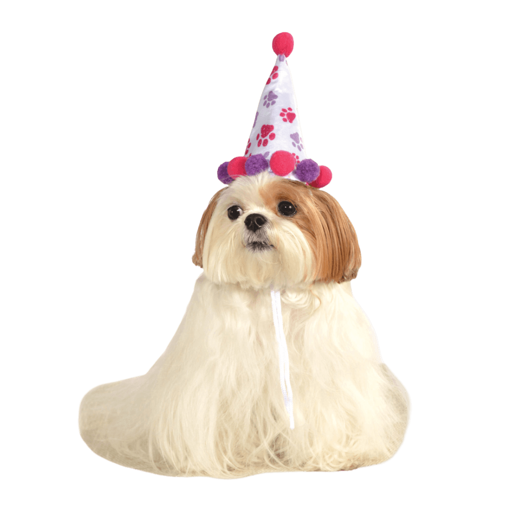 Paw Print Girl Pet Birthday Hat