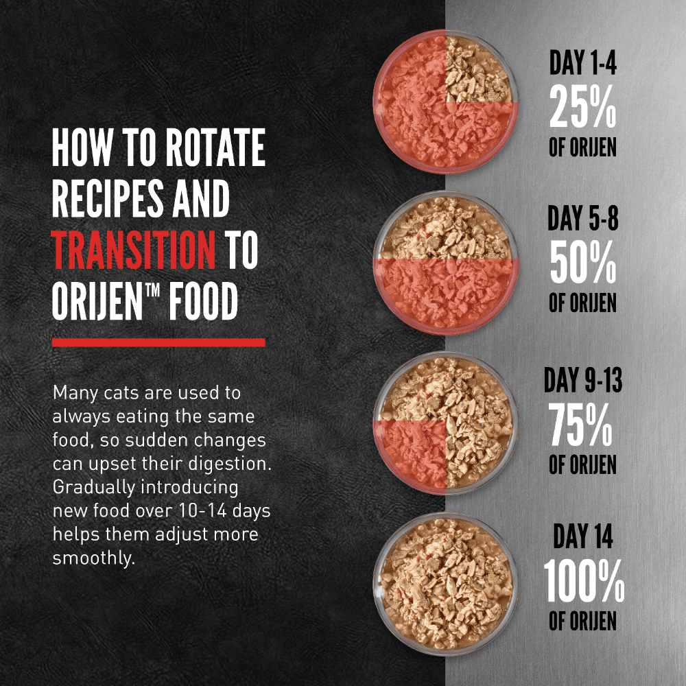 Orijen Chunks & Shreds Regional Red Adult Wet Cat Food Cans