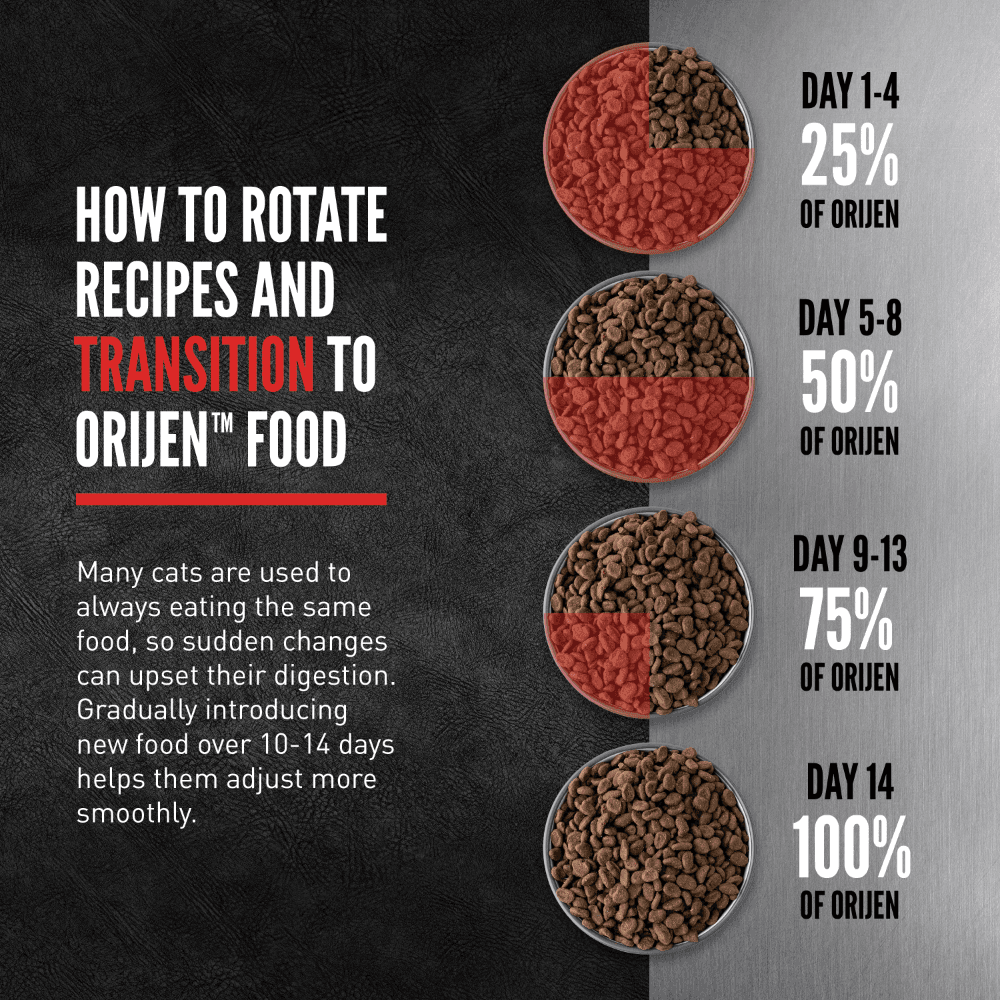 Orijen Kitten Dry Cat Food