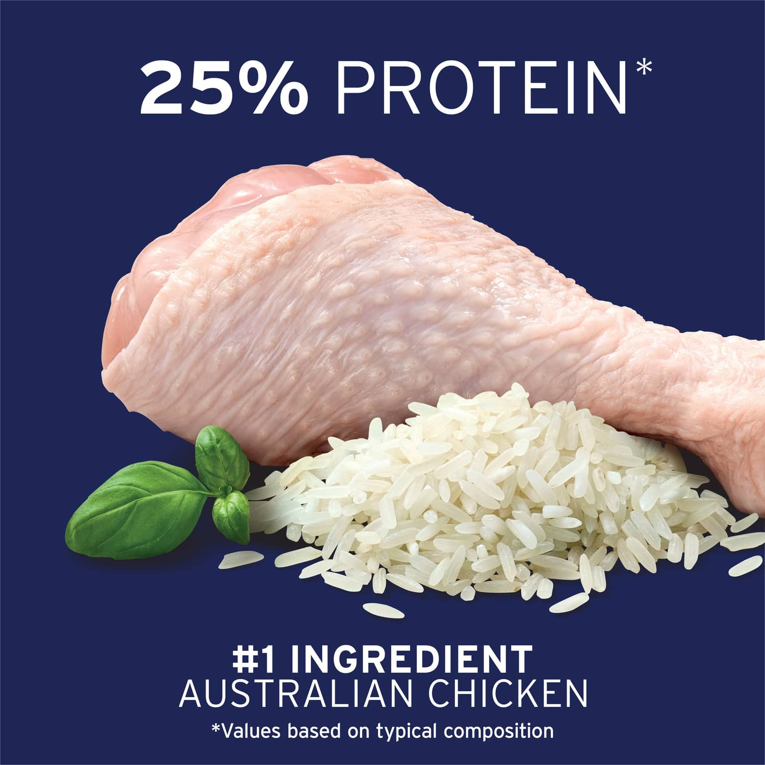 ADVANCE Medium Adult Dry Dog Food Chicken With Rice