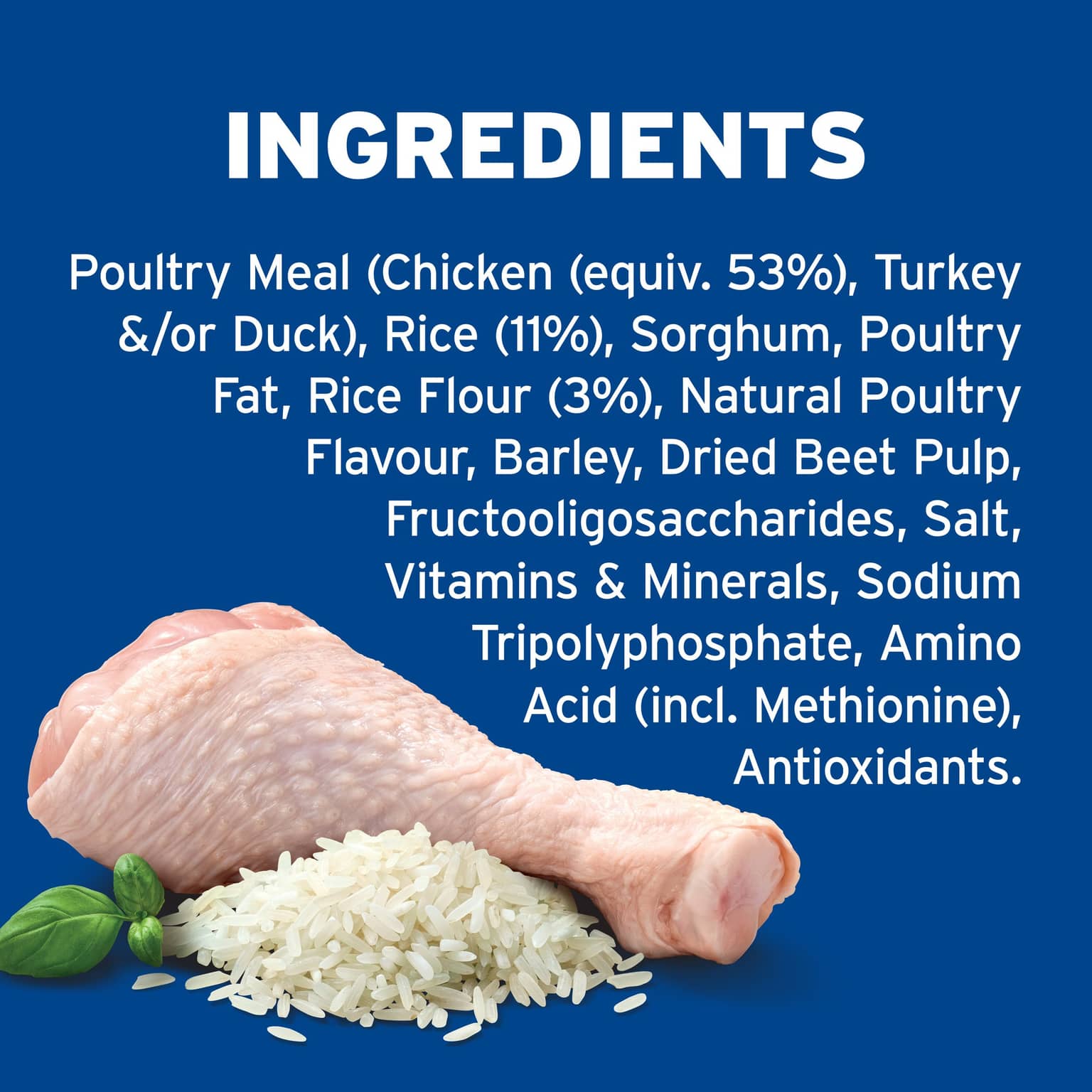 ADVANCE Medium Adult Dry Dog Food Chicken With Rice