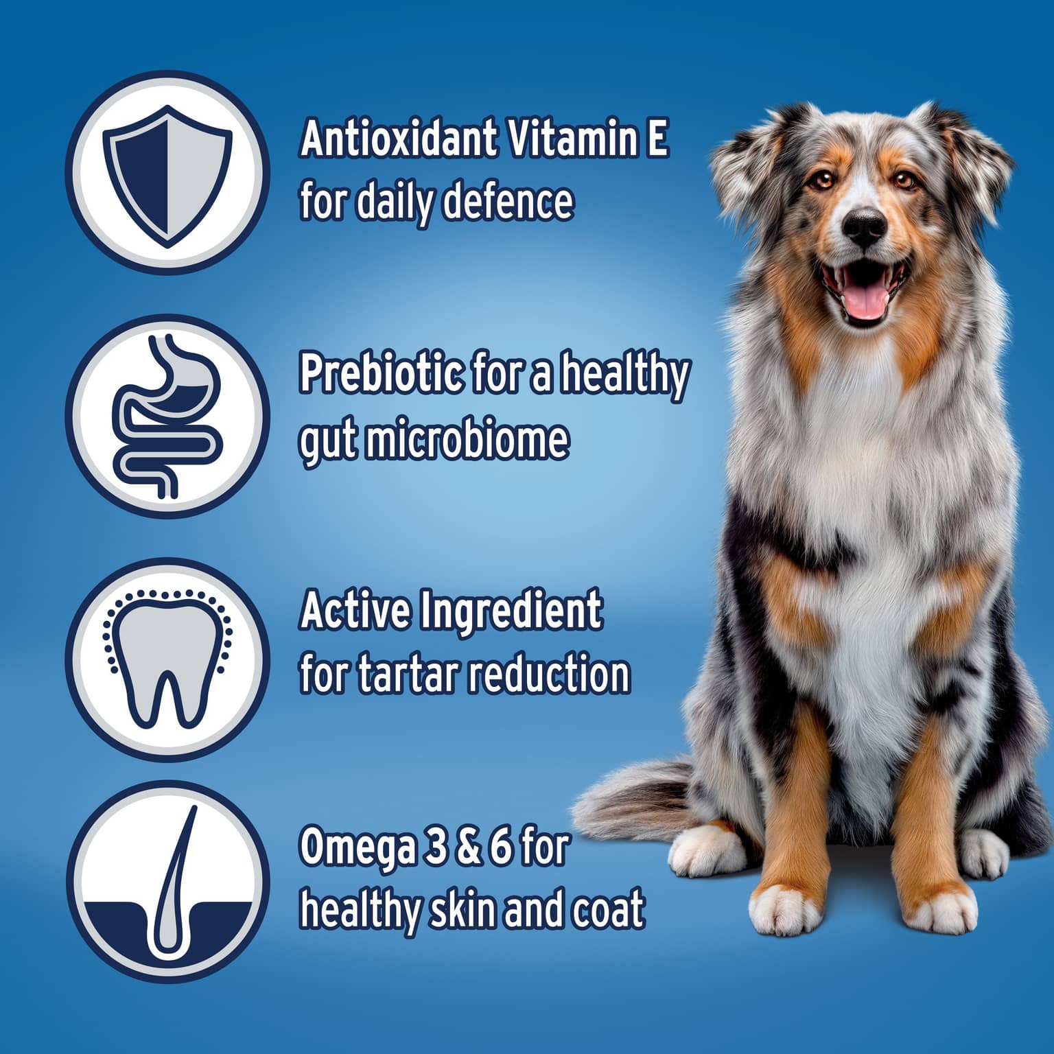 ADVANCE Medium Adult Dry Dog Food Chicken With Rice