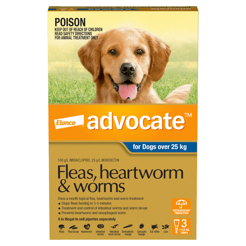 advocate-dog-extra-large-blue